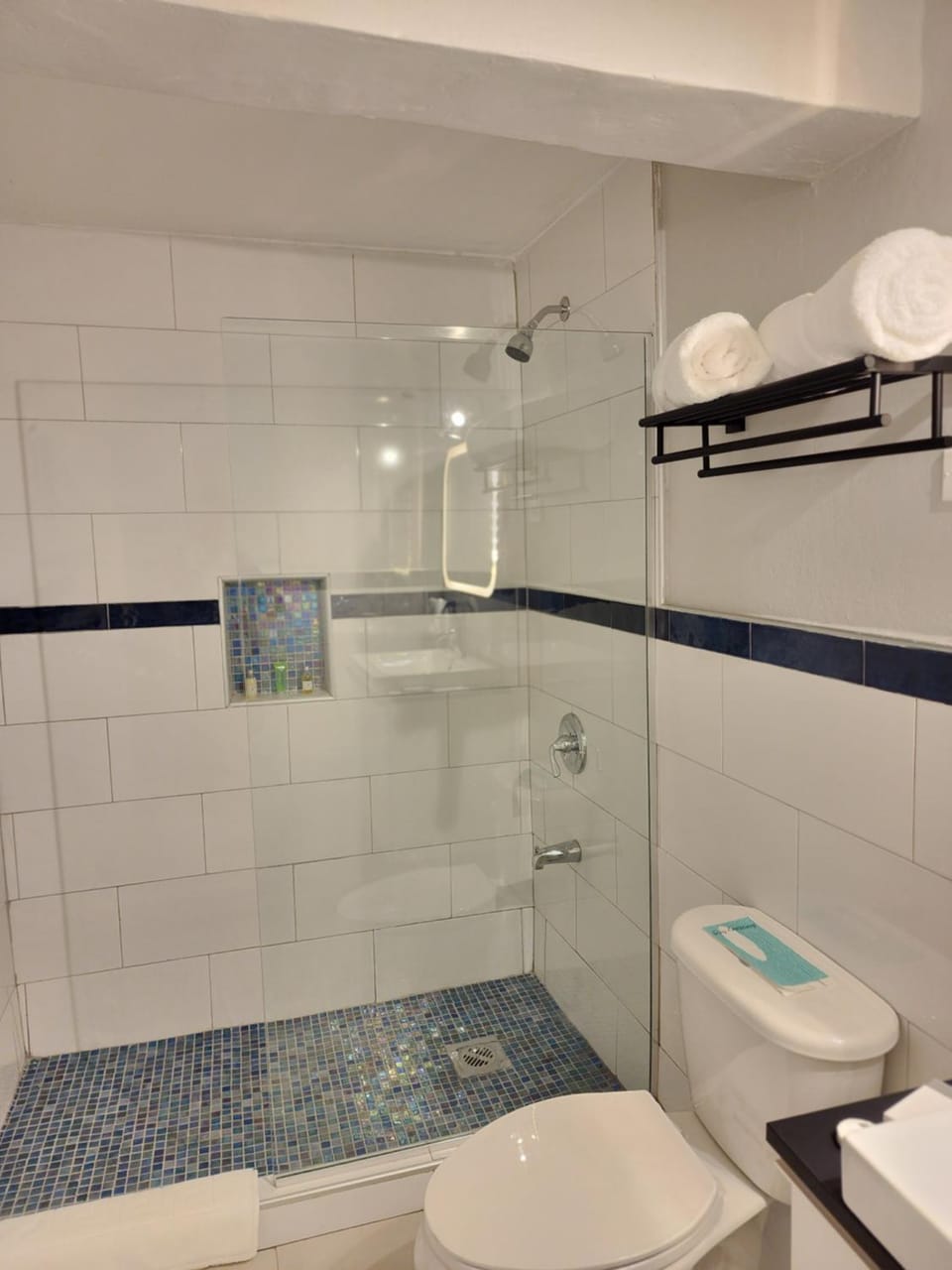 Shower, Toilet, Bathroom, towels