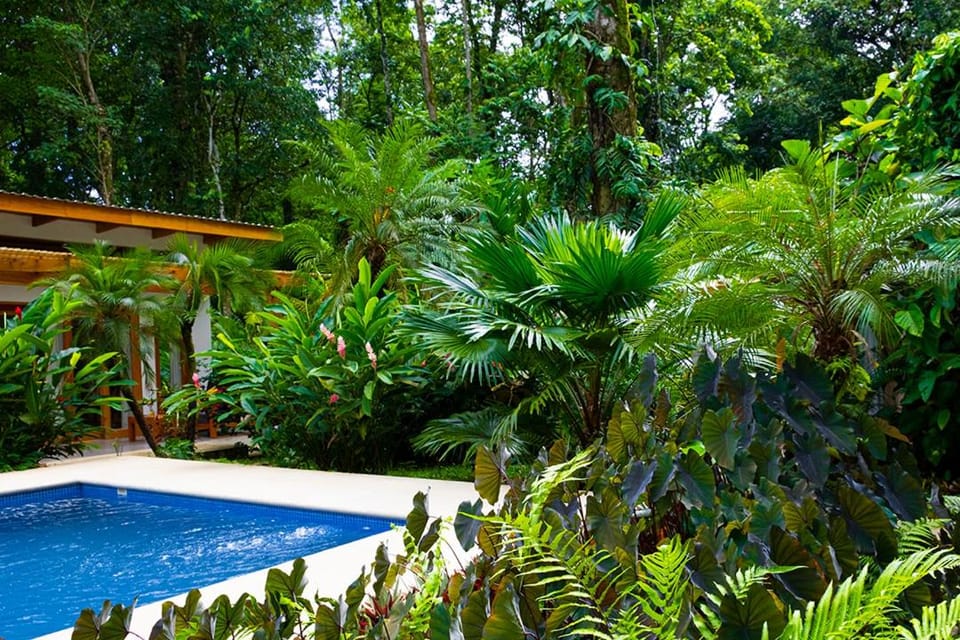 Garden, Pool view, Swimming pool, Swimming pool