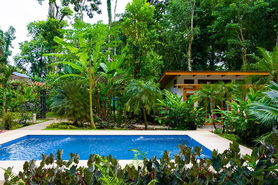 Property building, Pool view, Swimming pool, Swimming pool