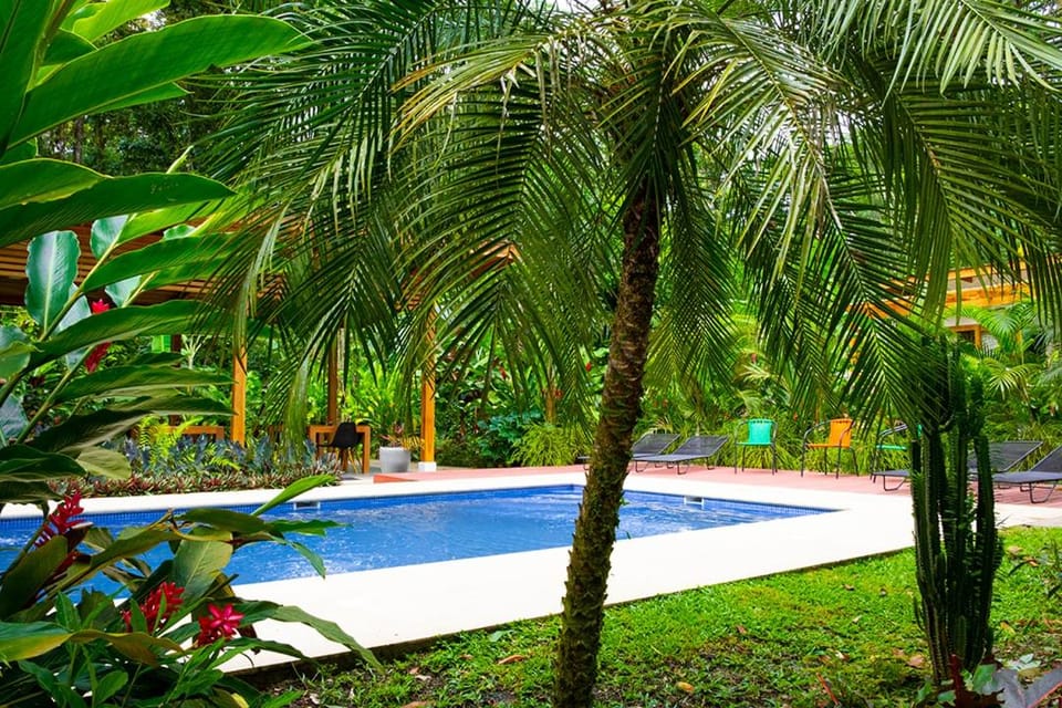 Swimming pool, Swimming pool