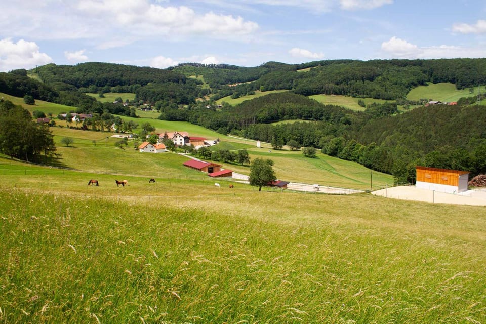 Waldhof Grasel Apartment hotel in Austria