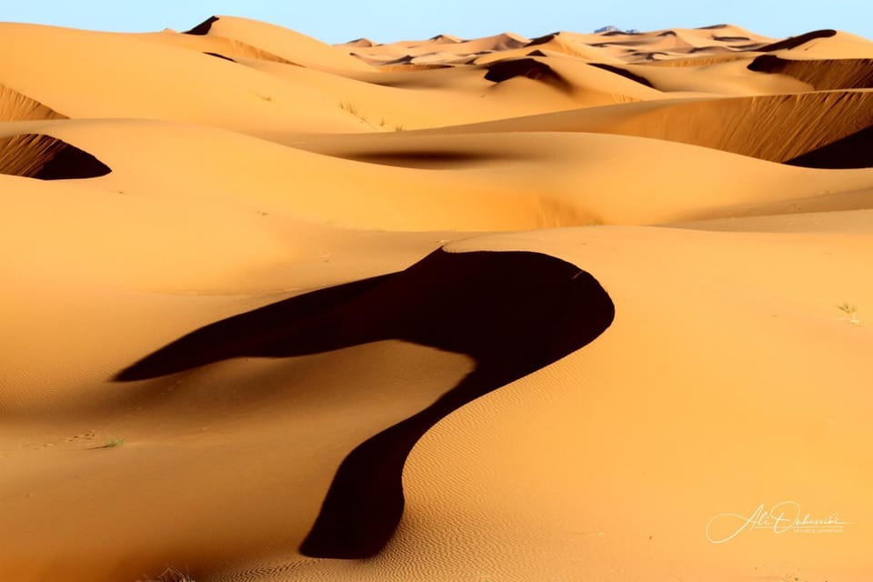 Natural landscape