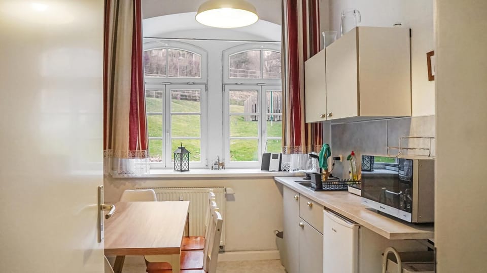 Kitchen or kitchenette, kitchen