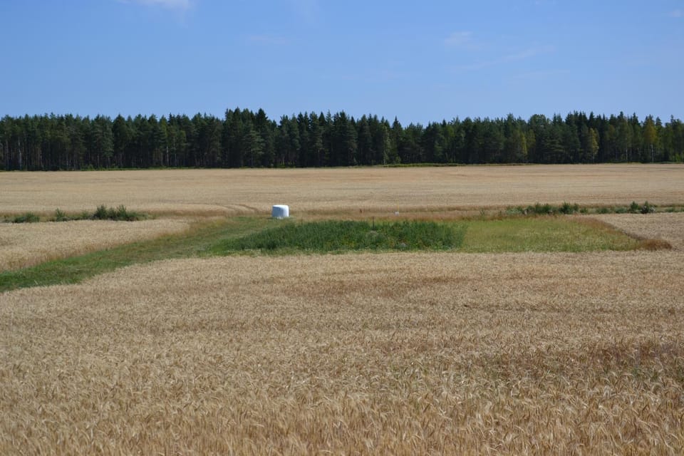 Natural landscape, View (from property/room)