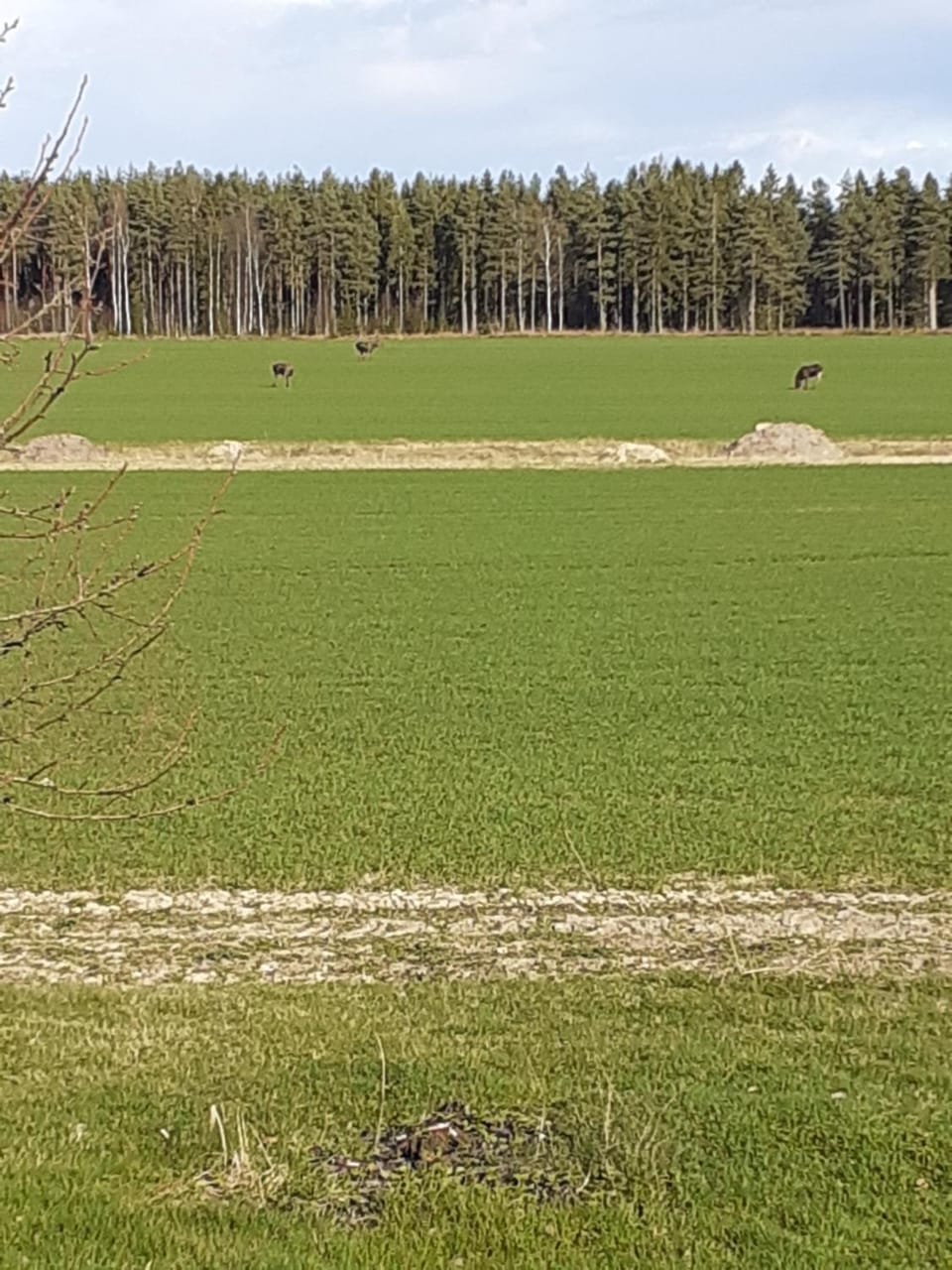 Spring, Natural landscape