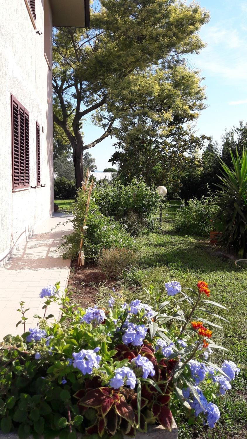 Facade/entrance, Garden
