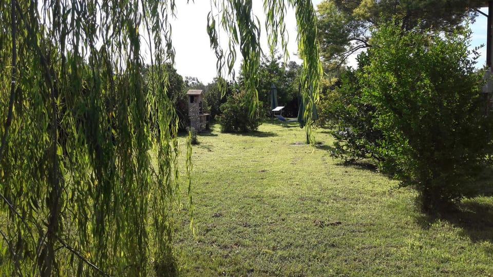 Garden, Garden view