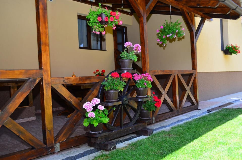 Casa Pricas Villa in Brașov County
