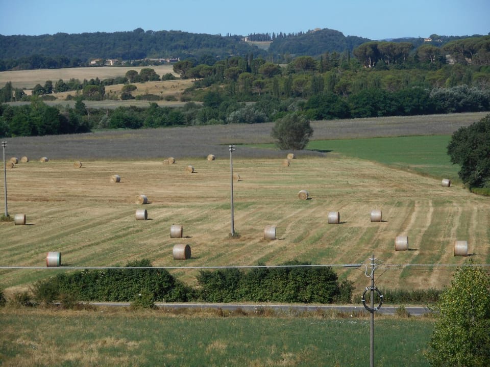 Spring, Natural landscape