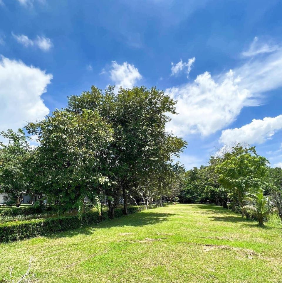 Garden, Garden view