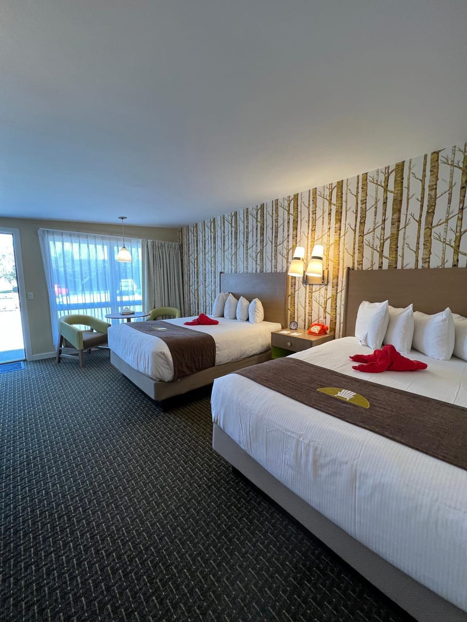 Photo of the whole room