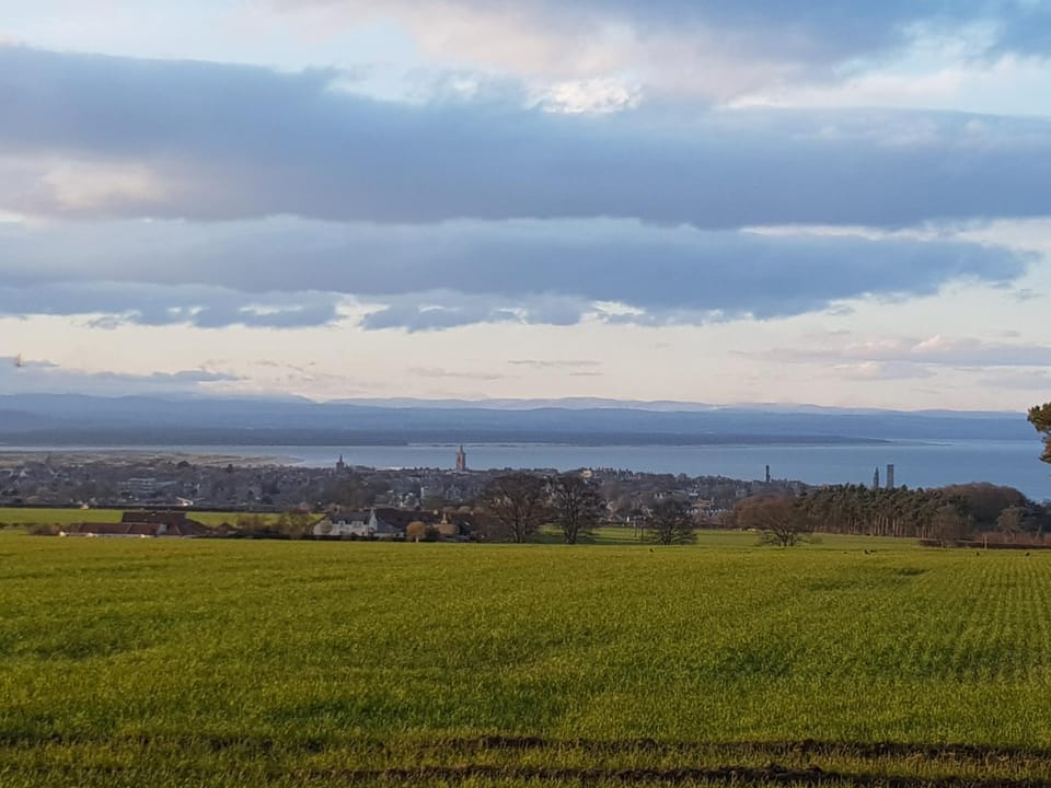 Natural landscape