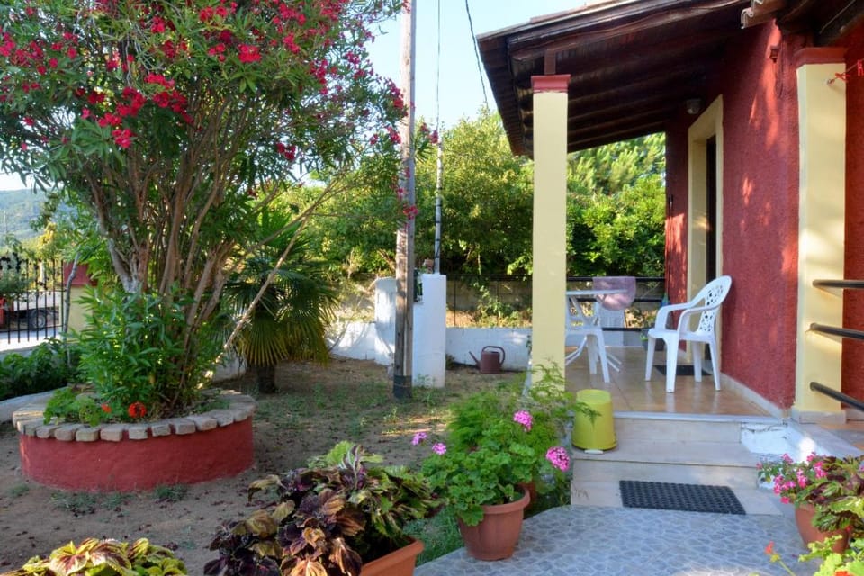 Patio, Garden