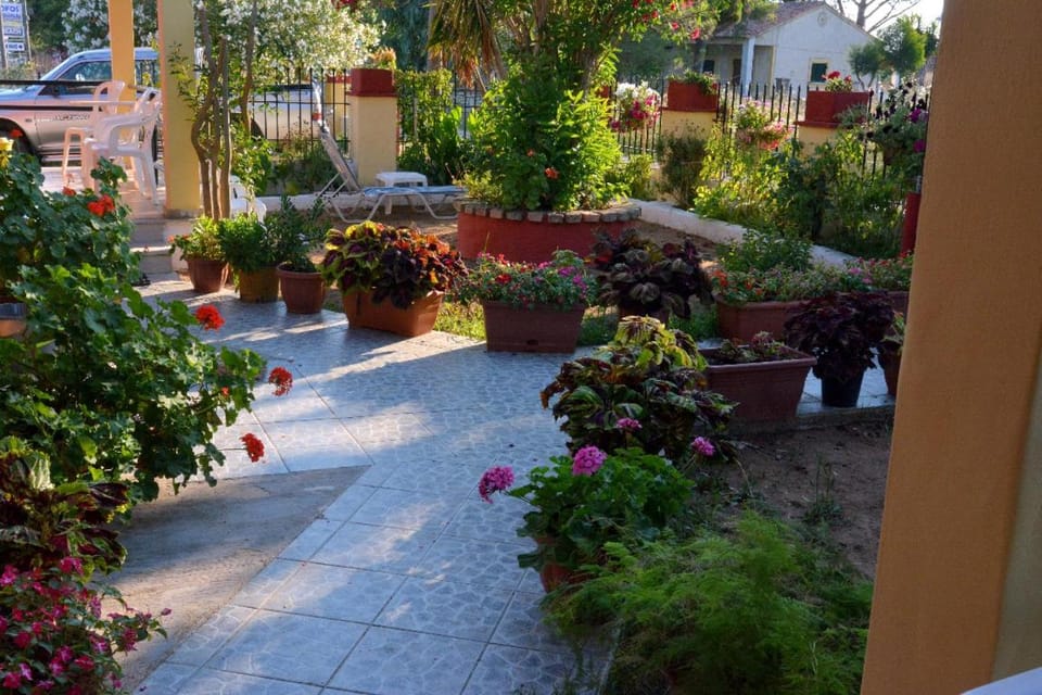 Patio, Garden, Garden view