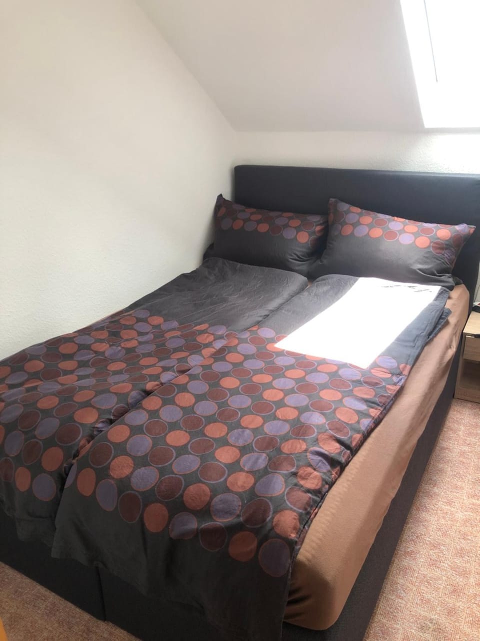 Am Kahlen Asten - Loft mit Fahrradkeller Apartment in Winterberg