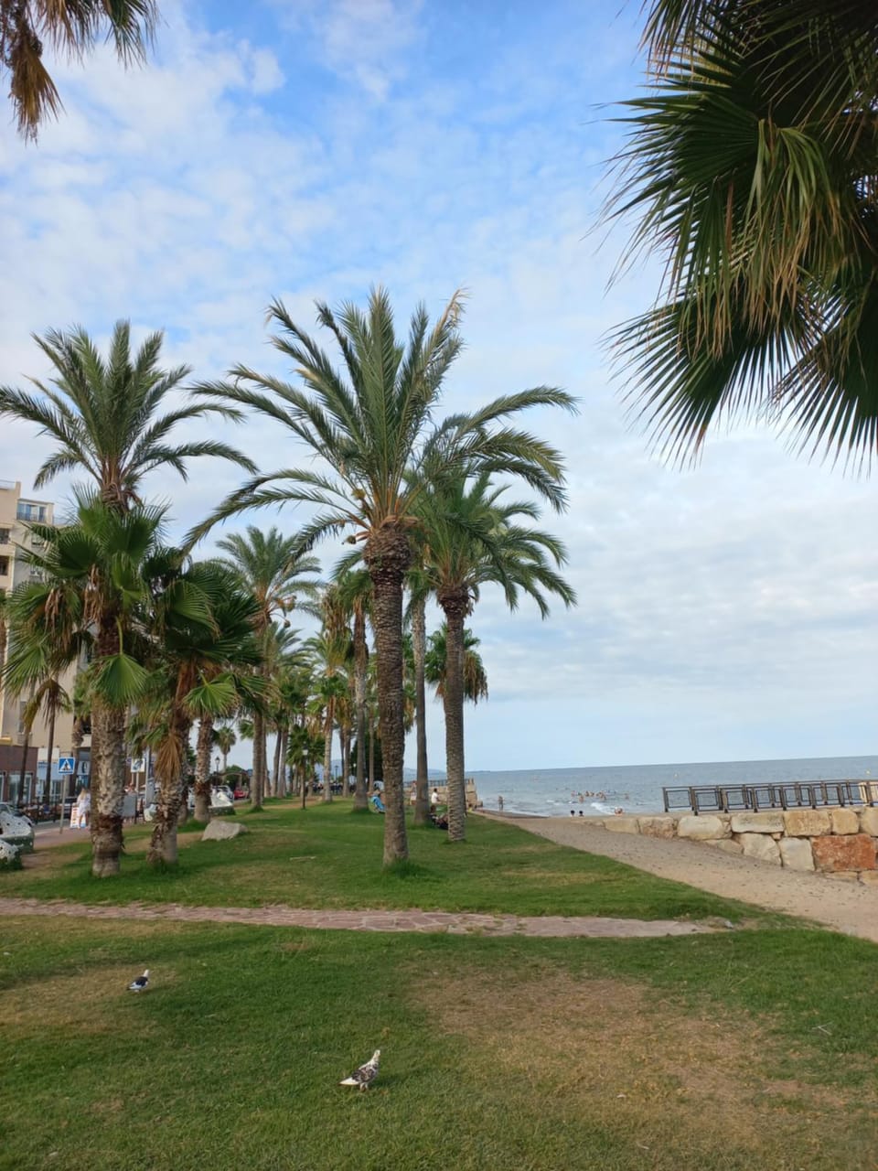 Marina dort Acapulco II primera línea de playa Apartment in Valencian Community