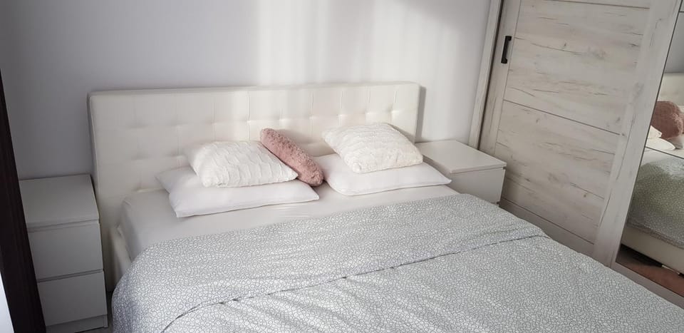 Apartament Rosenau Apartment in Brașov County