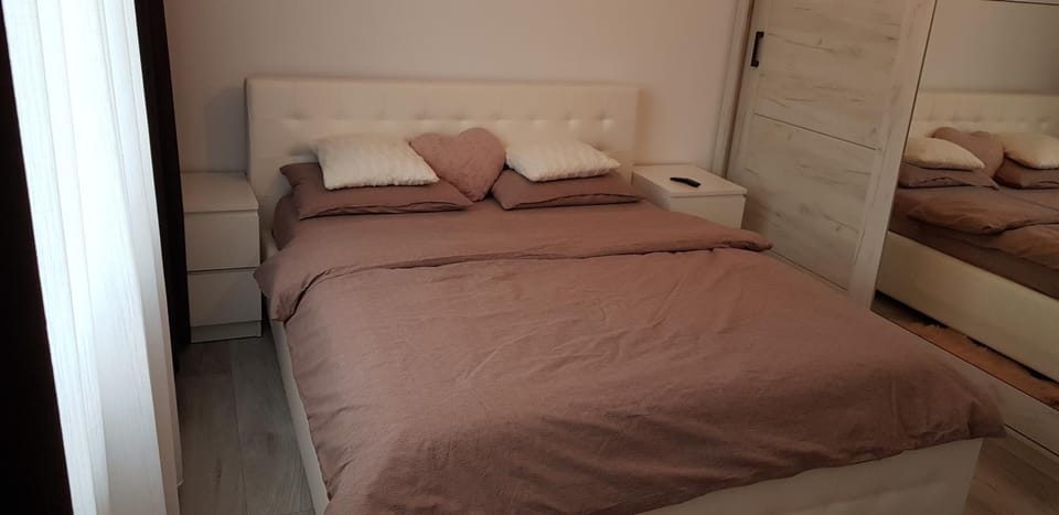 Apartament Rosenau Apartment in Brașov County