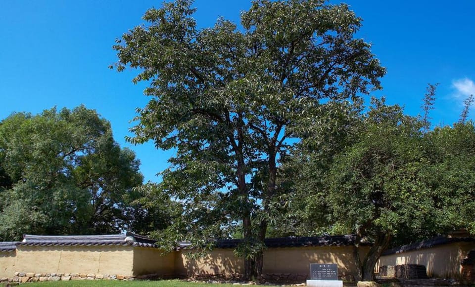 Natural landscape, Inner courtyard view