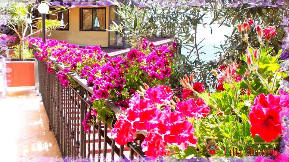 Spring, Garden, Garden view