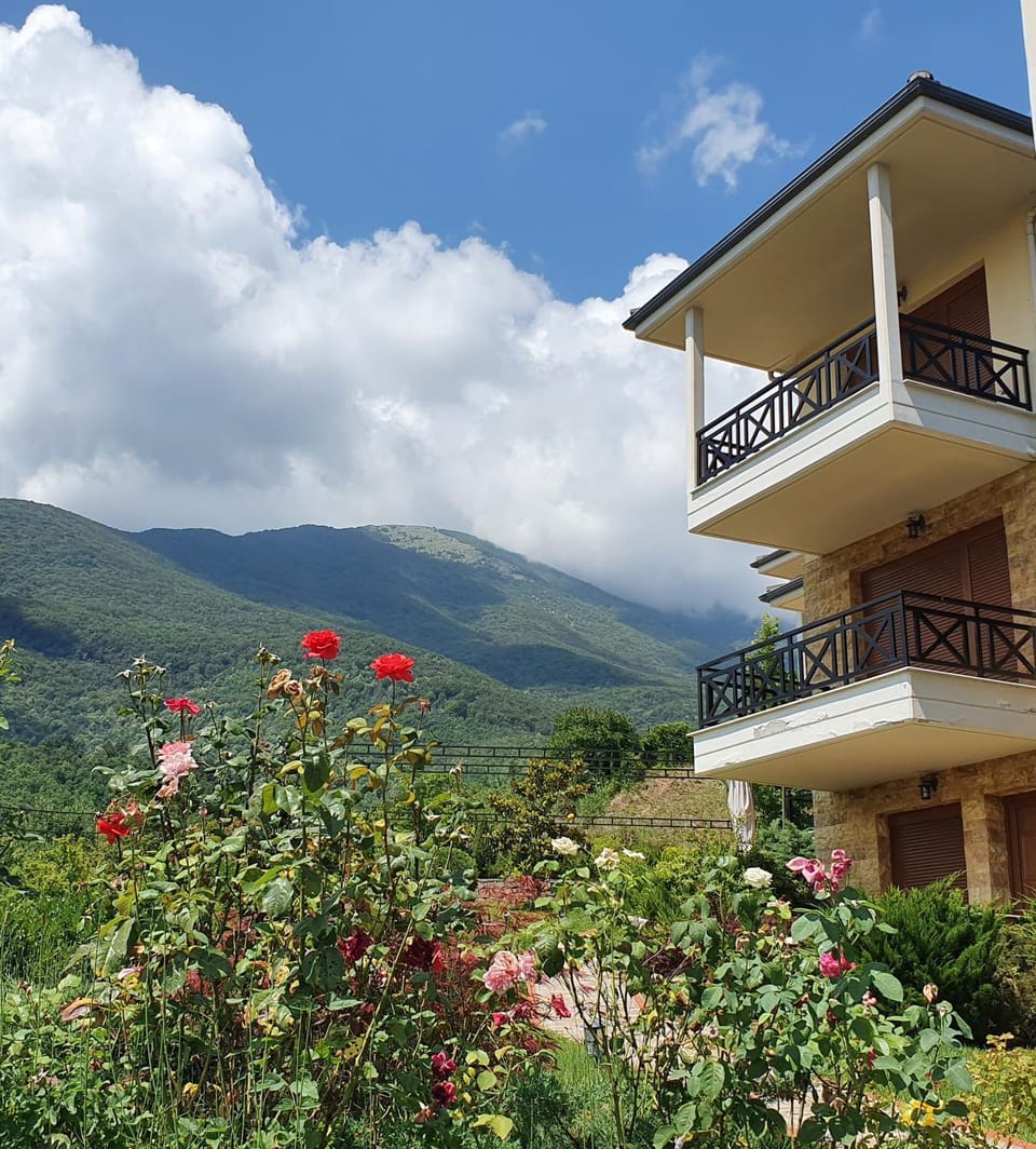 Property building, Balcony/Terrace