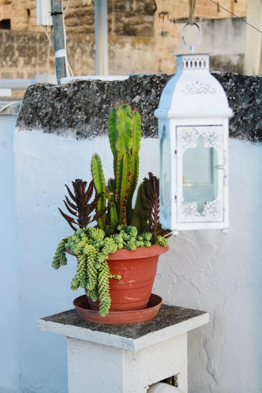 AcquaMarina House in Apulia