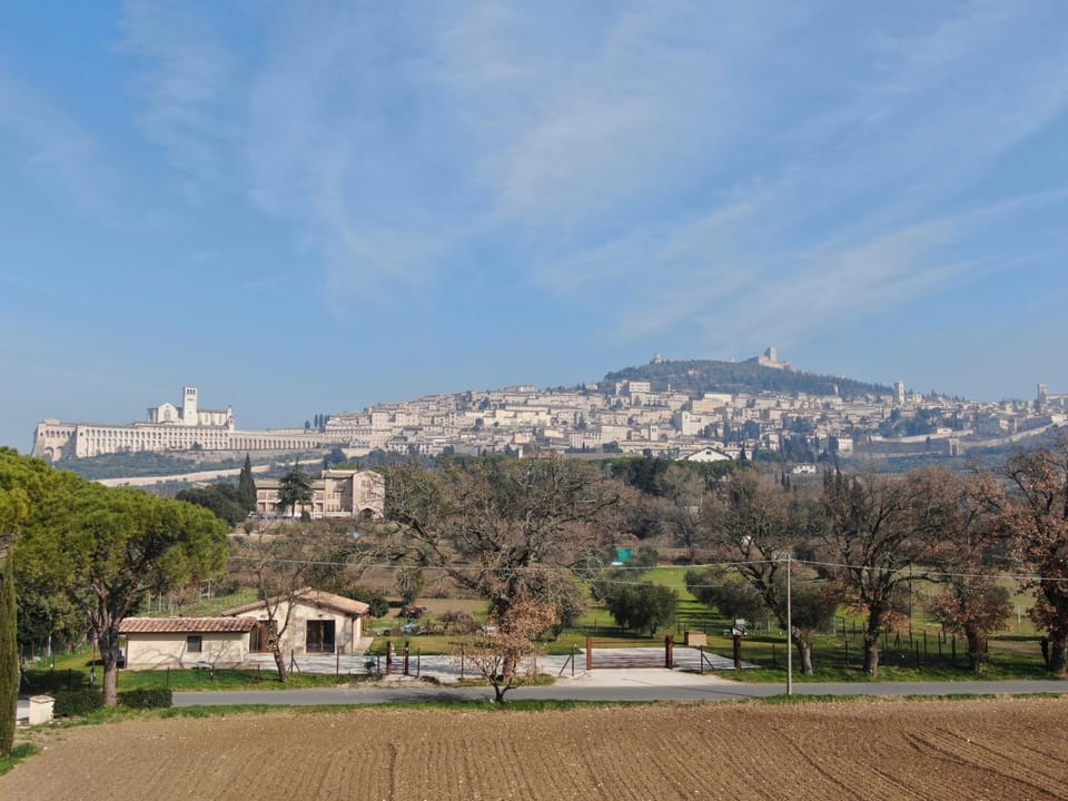 Natural landscape, Area and facilities