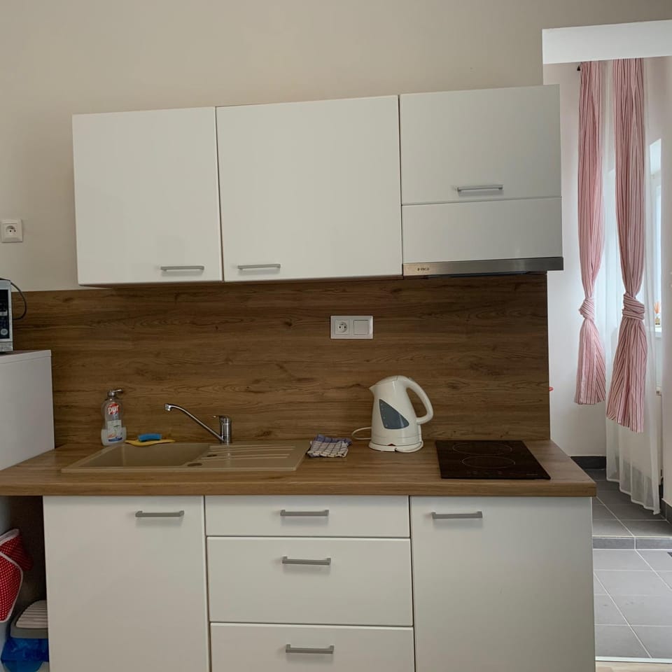 Junior Suite old town Apartment in Slovakia