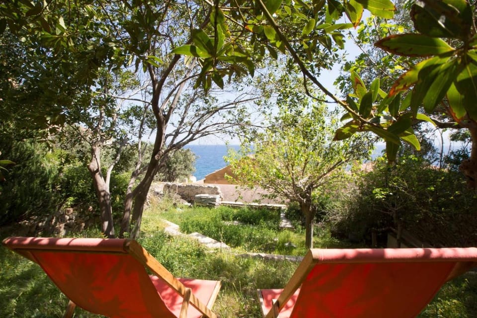 Garden, Sea view