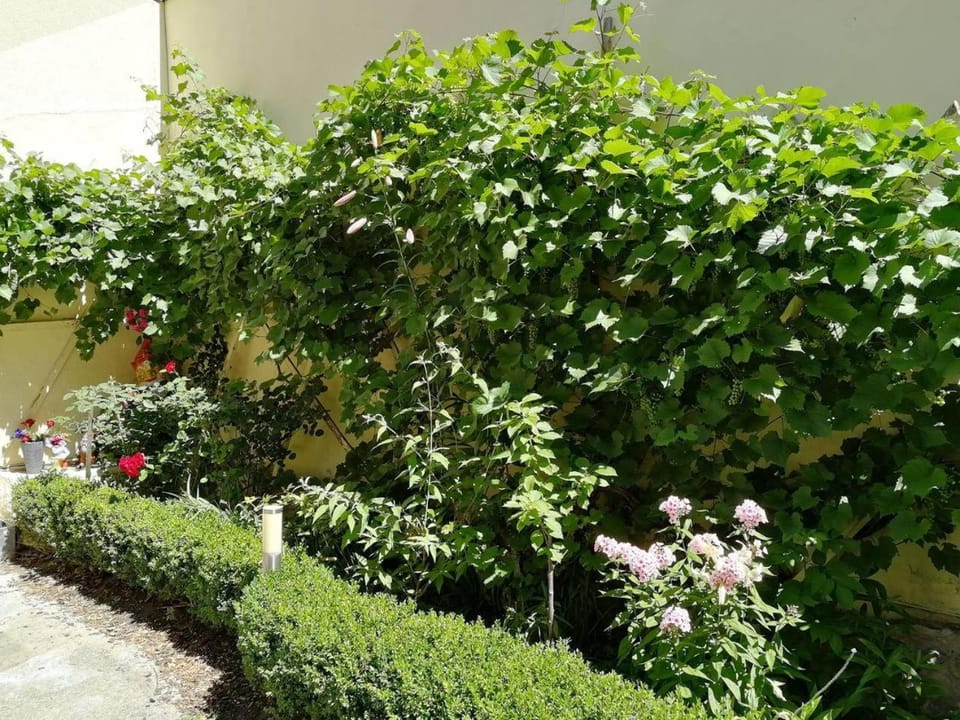 Marci Apartment in Thuringia, Germany