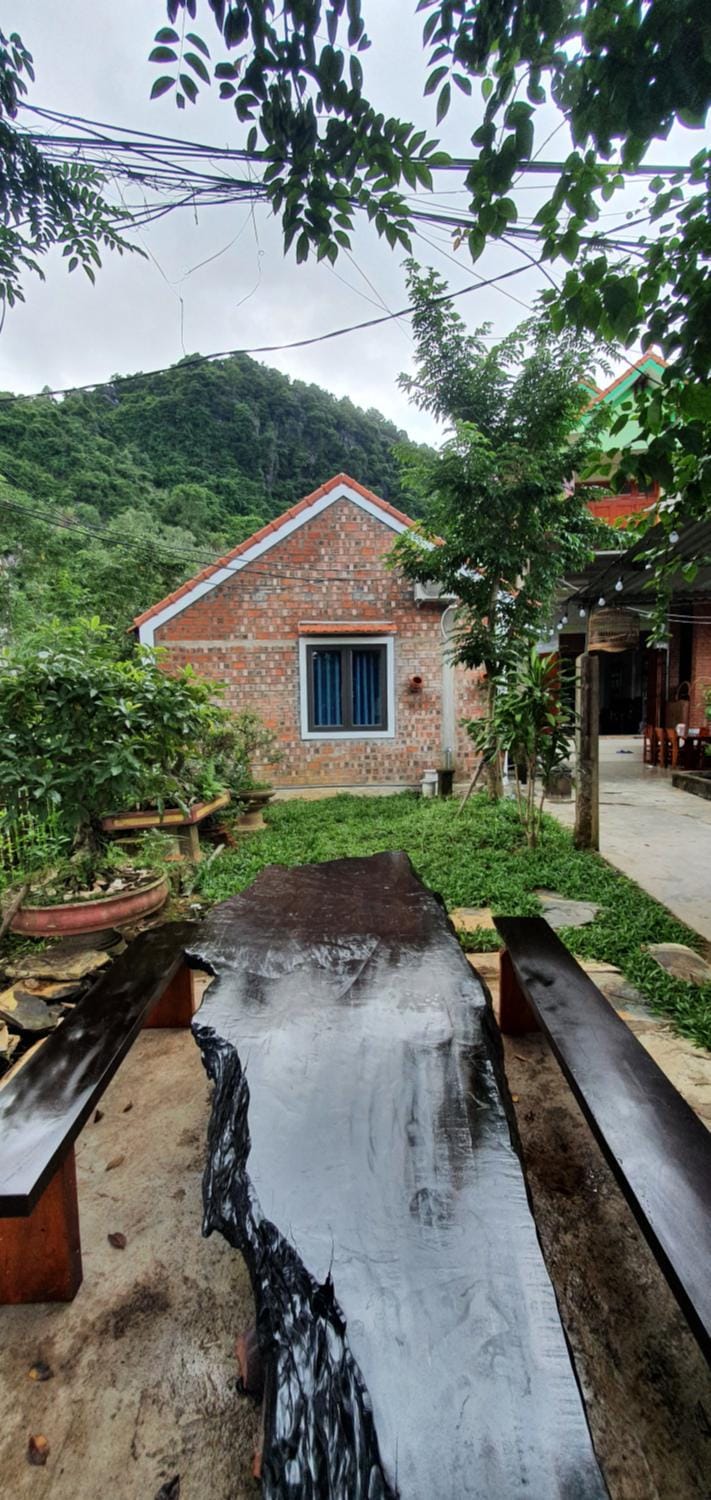 Property building, Garden, Garden view