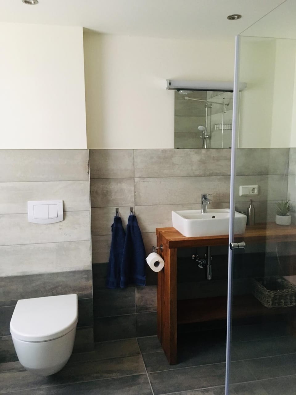 Toilet, Bathroom