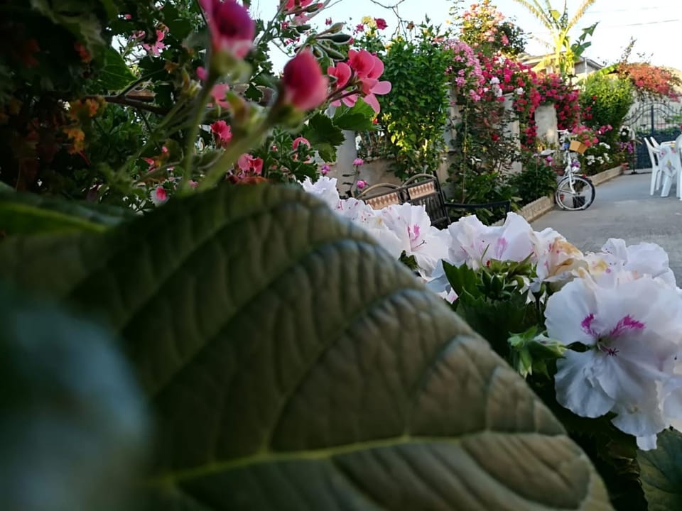 Villa delle rose Bed and Breakfast in Calabria