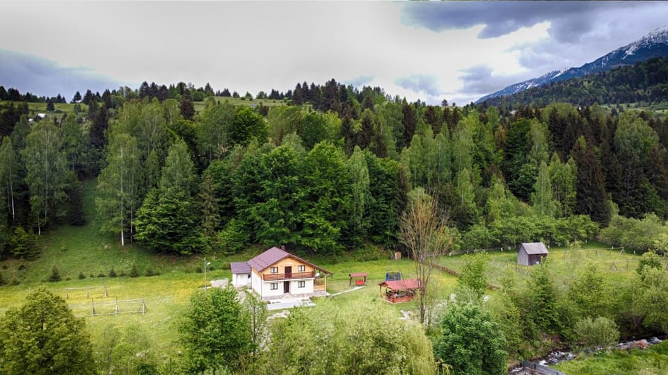Pensiunea Floare de Colt Bed and Breakfast in Romania