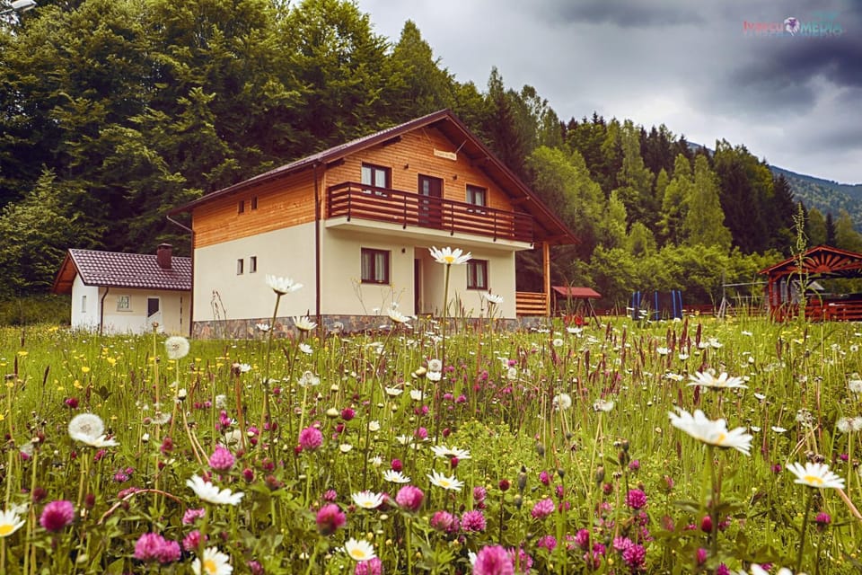 Pensiunea Floare de Colt Bed and Breakfast in Romania