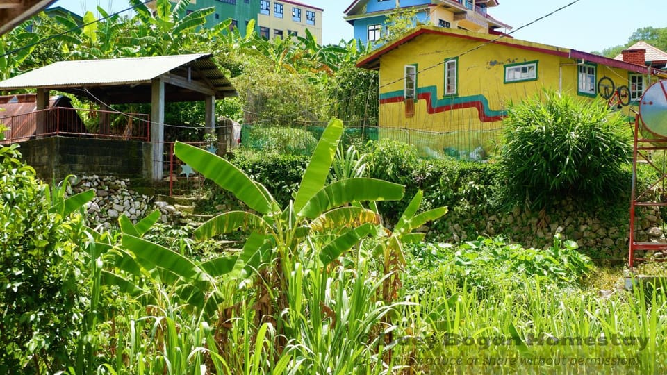 Baey Bōgan Homestay Vacation rental in Cordillera Administrative Region