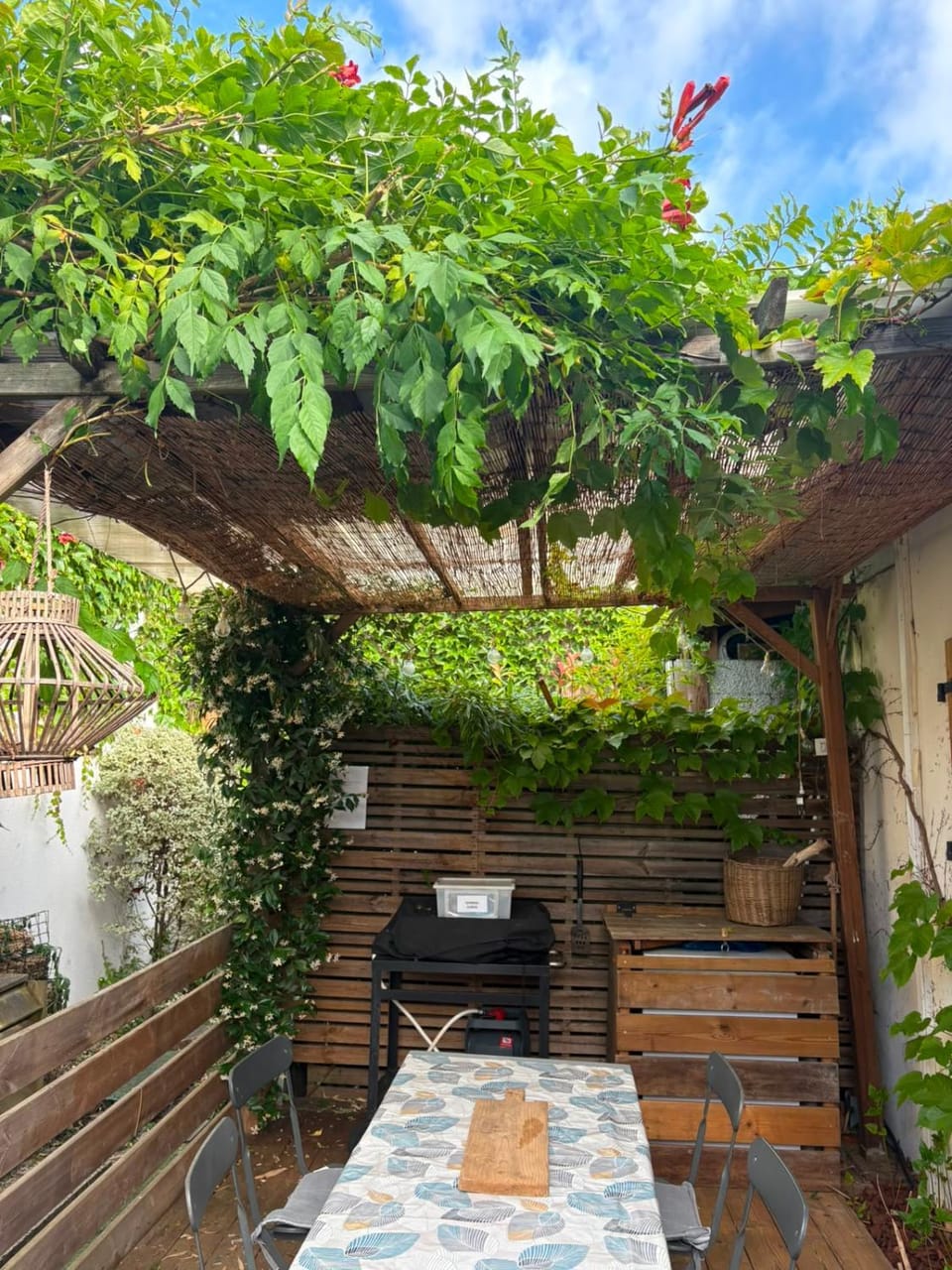 Patio, BBQ facilities
