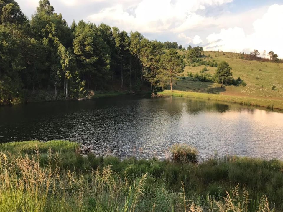 Connemara Trout Lodge House in South Africa