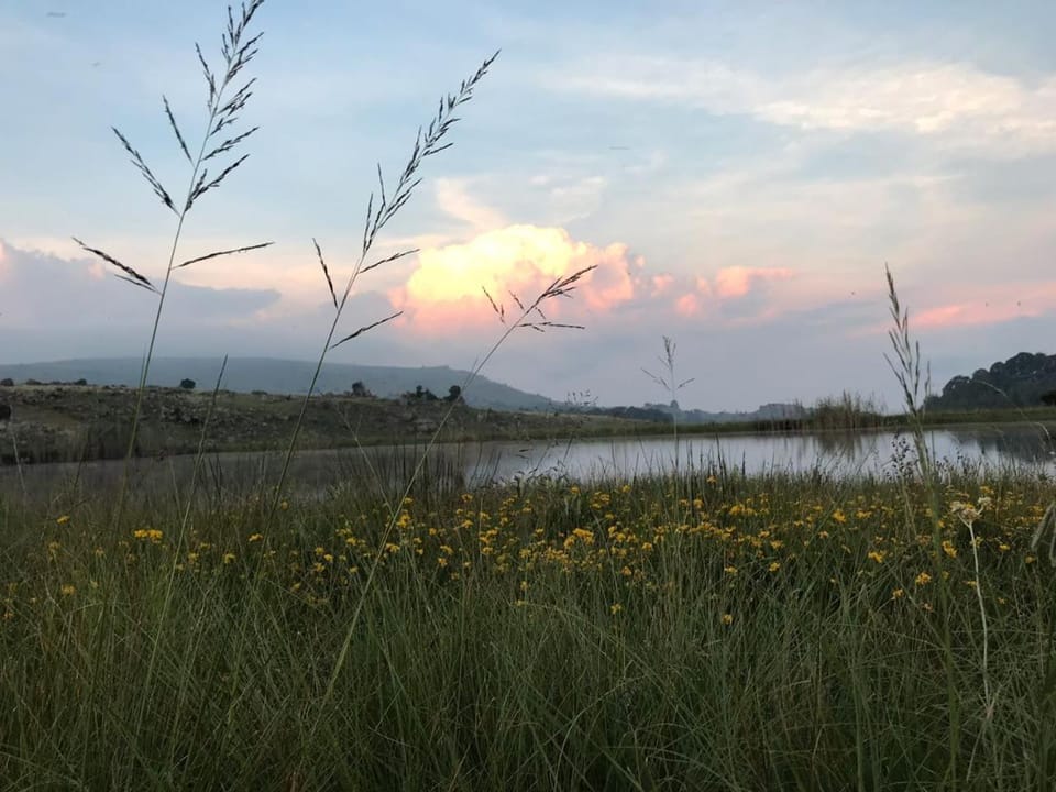 Connemara Trout Lodge House in South Africa