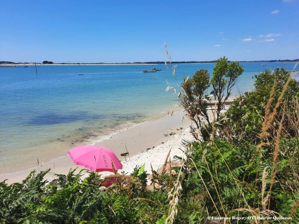 Carnac : Appt 2P+Mezz, Plage à 100m, Parking, Animaux admis Apartment in Carnac