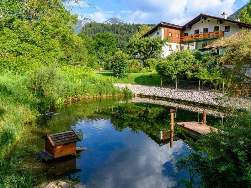 Lake view