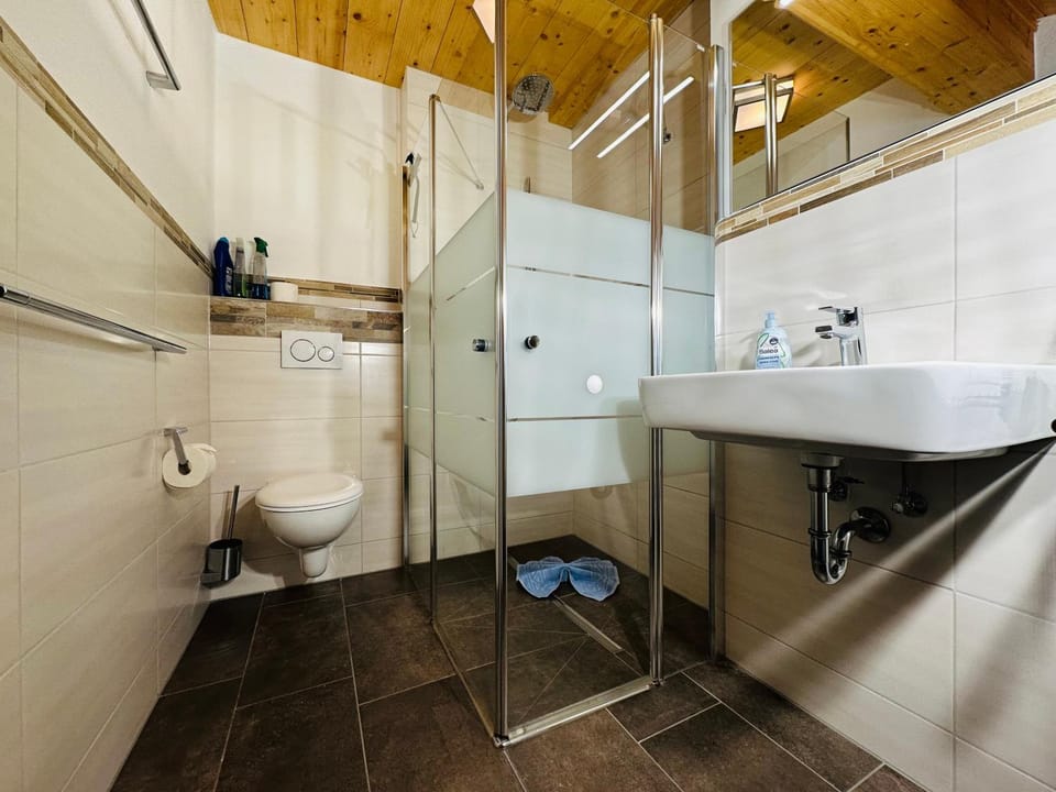 Shower, Toilet, Bathroom, towels