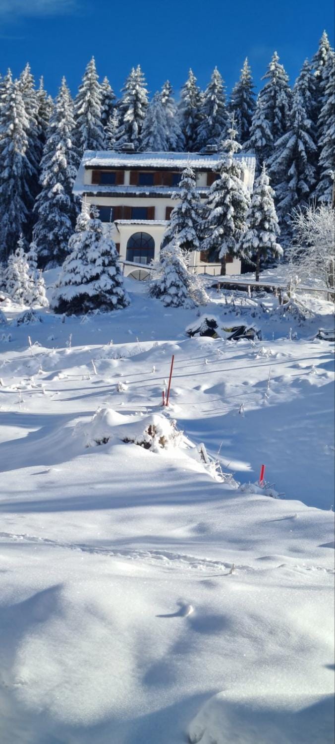 Day, Natural landscape, Winter, Skiing