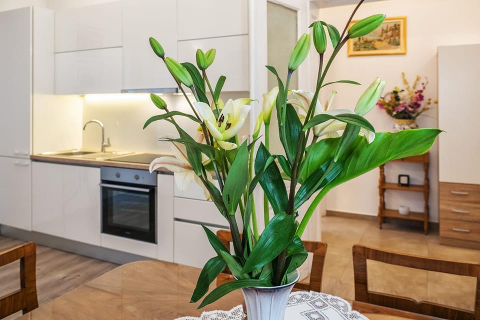 Kitchen or kitchenette, kitchen