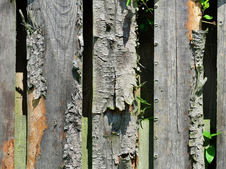 Decorative detail