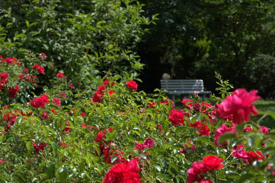 Garden, Garden view