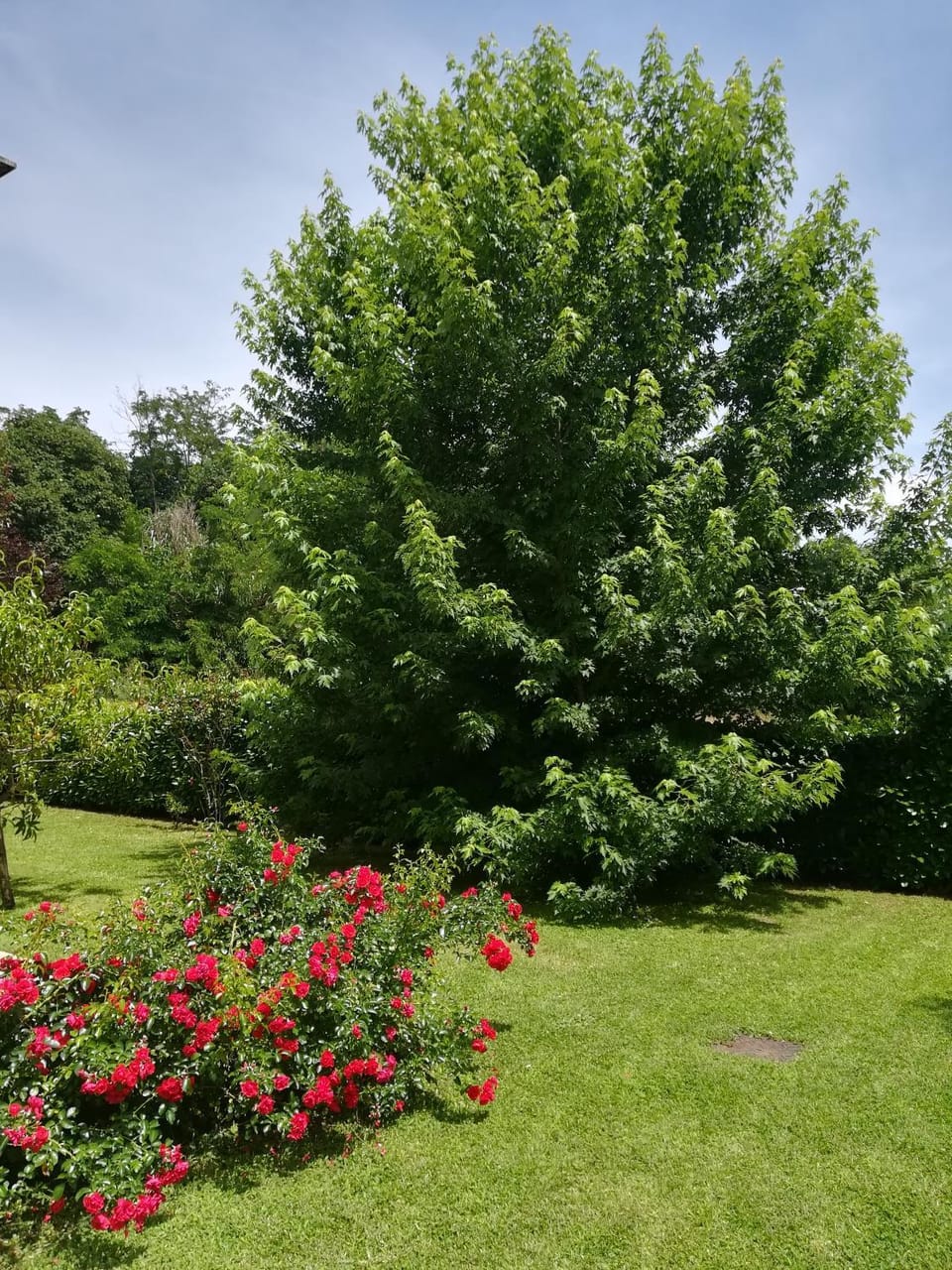 Garden, Garden view