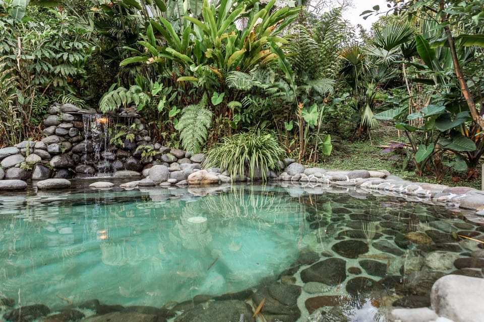Swimming pool, Swimming pool