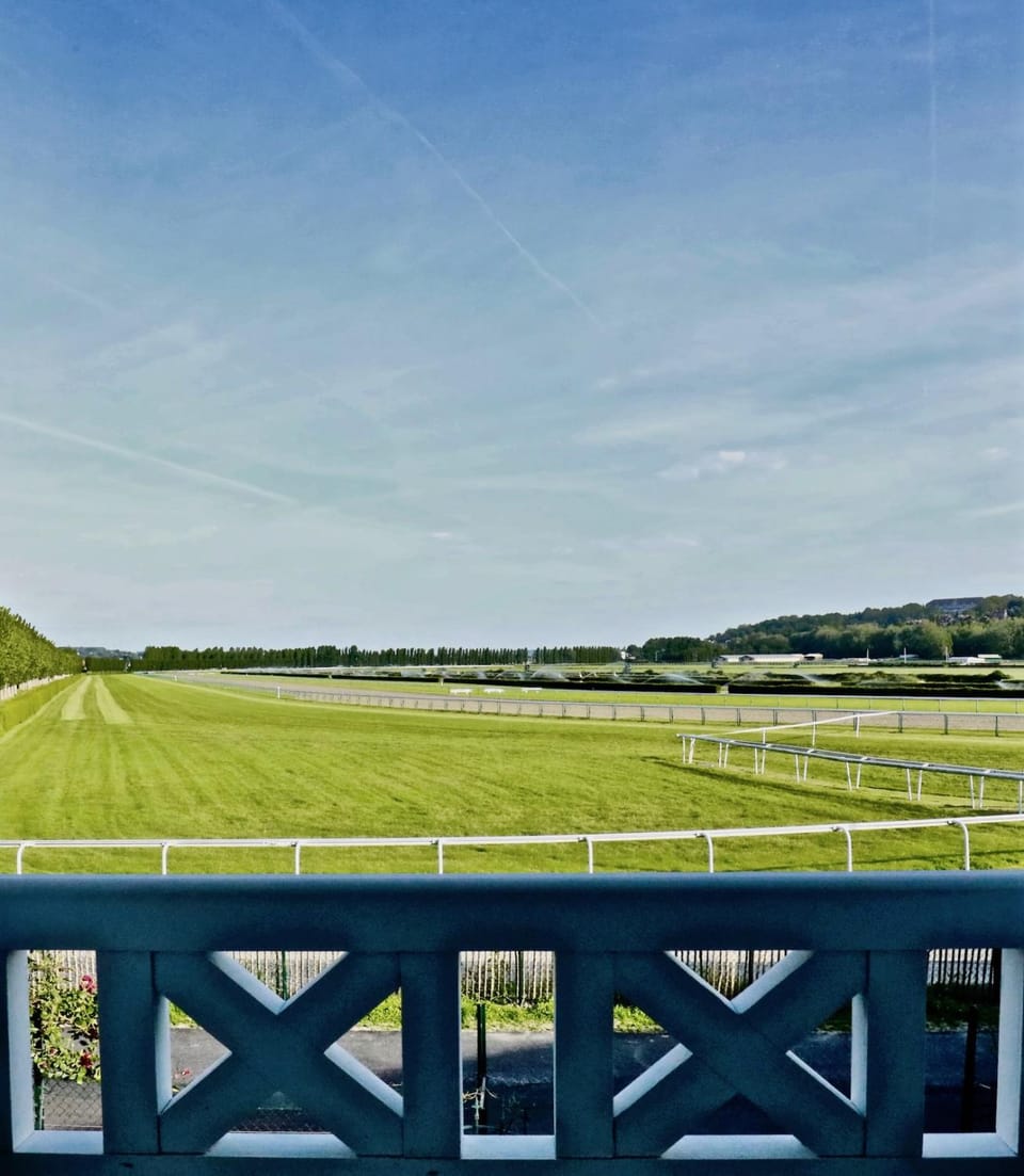 View (from property/room)