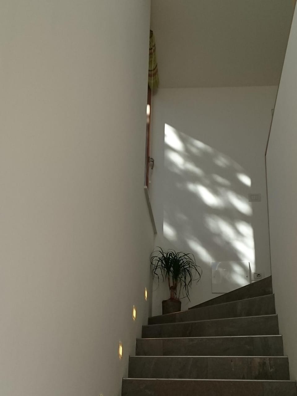 Living room, Area and facilities